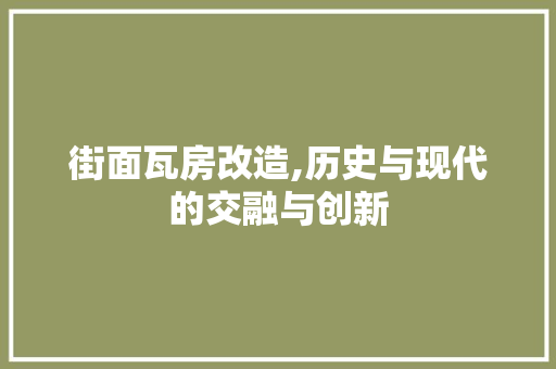 街面瓦房改造,历史与现代的交融与创新