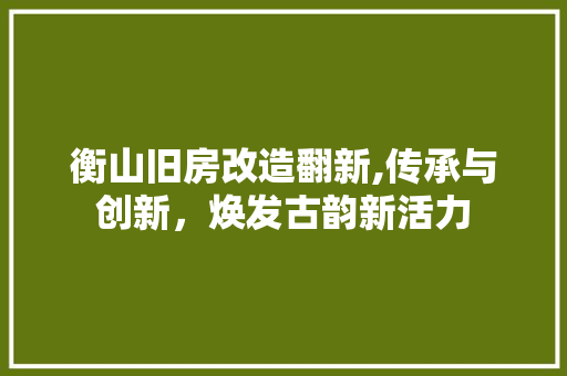 衡山旧房改造翻新,传承与创新，焕发古韵新活力