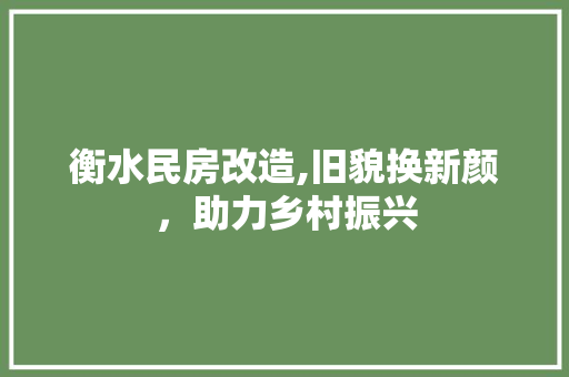 衡水民房改造,旧貌换新颜，助力乡村振兴