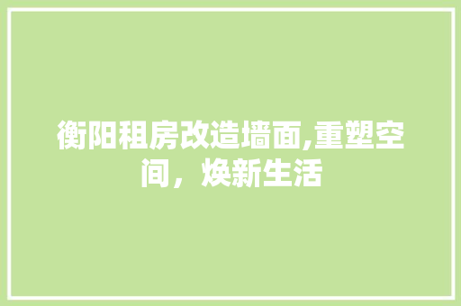 衡阳租房改造墙面,重塑空间，焕新生活