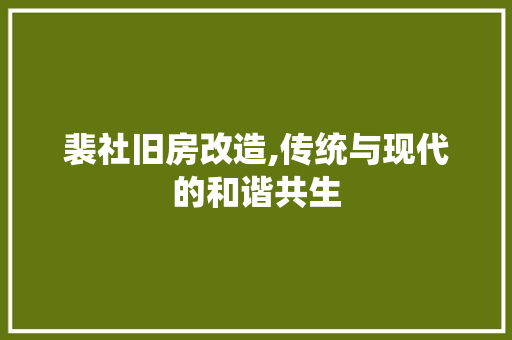 裴社旧房改造,传统与现代的和谐共生