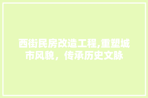 西街民房改造工程,重塑城市风貌，传承历史文脉