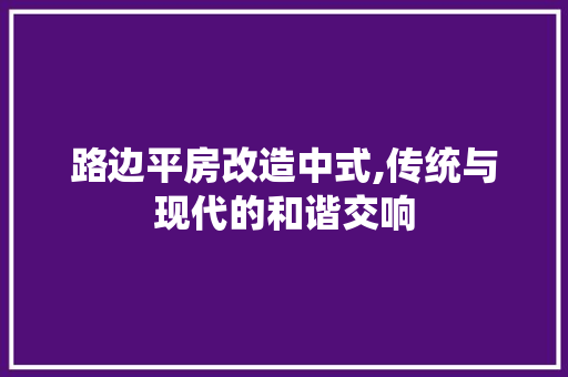 路边平房改造中式,传统与现代的和谐交响