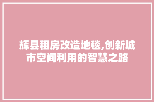 辉县租房改造地毯,创新城市空间利用的智慧之路