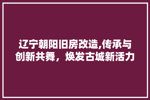 辽宁朝阳旧房改造,传承与创新共舞，焕发古城新活力