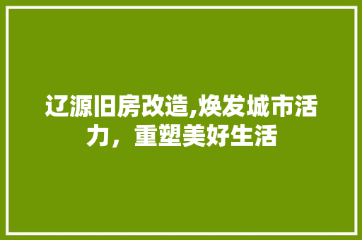 辽源旧房改造,焕发城市活力，重塑美好生活