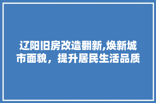 辽阳旧房改造翻新,焕新城市面貌，提升居民生活品质