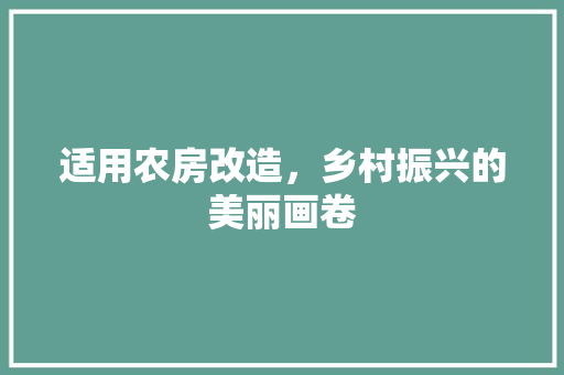 适用农房改造，乡村振兴的美丽画卷