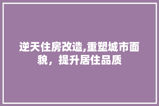 逆天住房改造,重塑城市面貌，提升居住品质