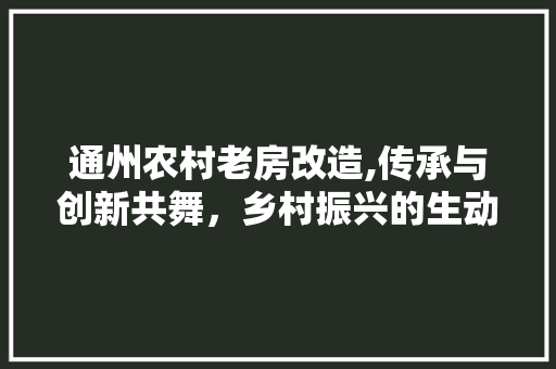 通州农村老房改造,传承与创新共舞，乡村振兴的生动方法