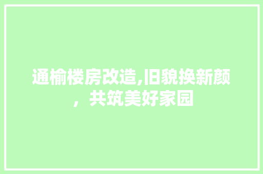 通榆楼房改造,旧貌换新颜，共筑美好家园