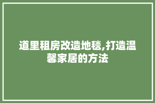 道里租房改造地毯,打造温馨家居的方法