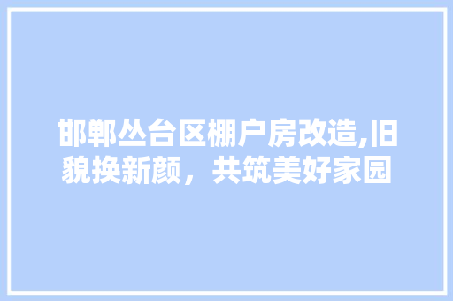 邯郸丛台区棚户房改造,旧貌换新颜，共筑美好家园