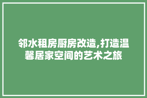 邻水租房厨房改造,打造温馨居家空间的艺术之旅