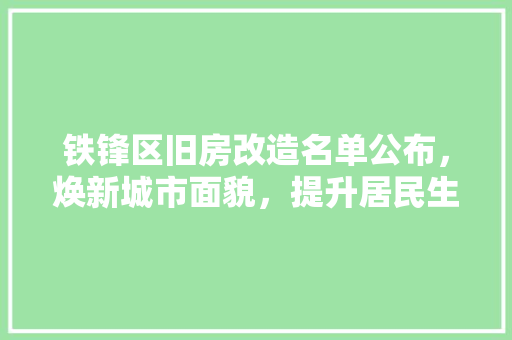 铁锋区旧房改造名单公布，焕新城市面貌，提升居民生活品质