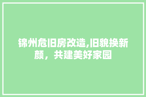 锦州危旧房改造,旧貌换新颜，共建美好家园