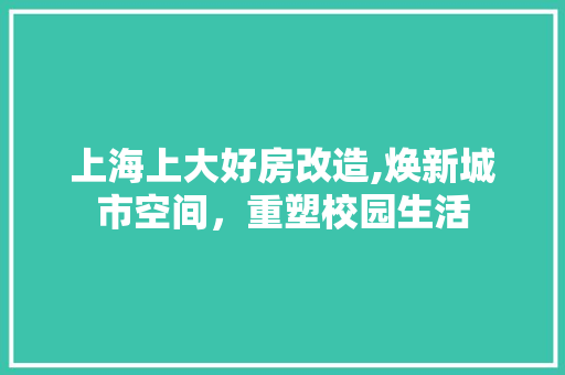 上海上大好房改造,焕新城市空间，重塑校园生活