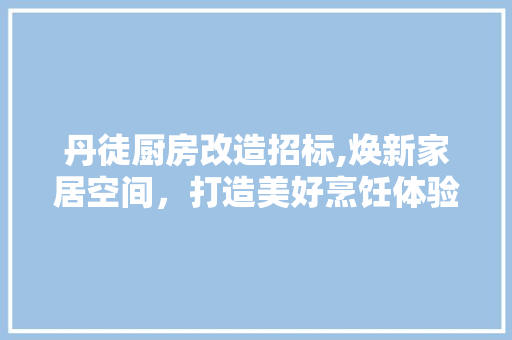 丹徒厨房改造招标,焕新家居空间，打造美好烹饪体验