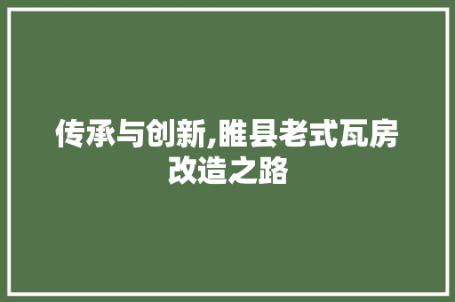 传承与创新,睢县老式瓦房改造之路