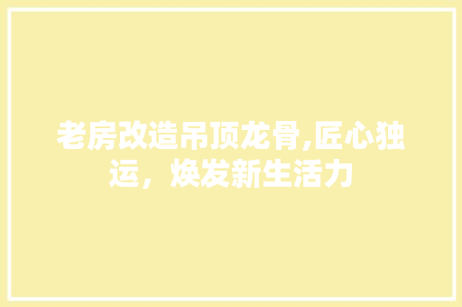 老房改造吊顶龙骨,匠心独运，焕发新生活力