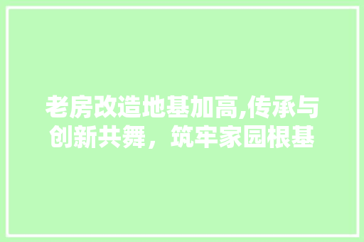 老房改造地基加高,传承与创新共舞，筑牢家园根基