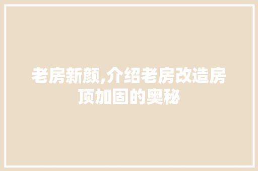 老房新颜,介绍老房改造房顶加固的奥秘
