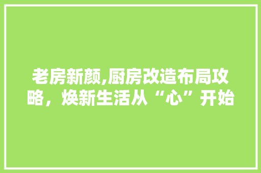 老房新颜,厨房改造布局攻略，焕新生活从“心”开始