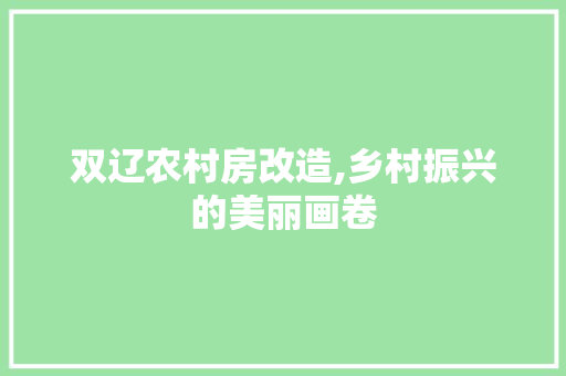 双辽农村房改造,乡村振兴的美丽画卷