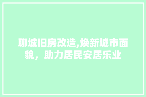 聊城旧房改造,焕新城市面貌，助力居民安居乐业