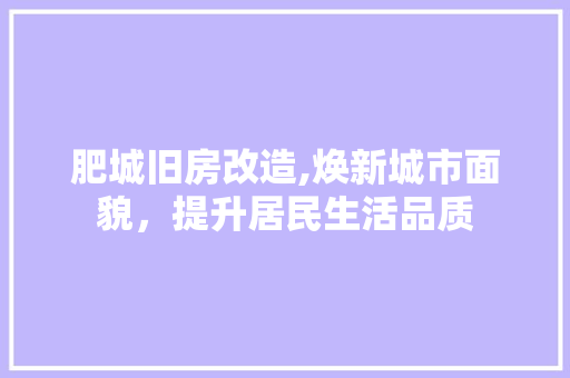 肥城旧房改造,焕新城市面貌，提升居民生活品质