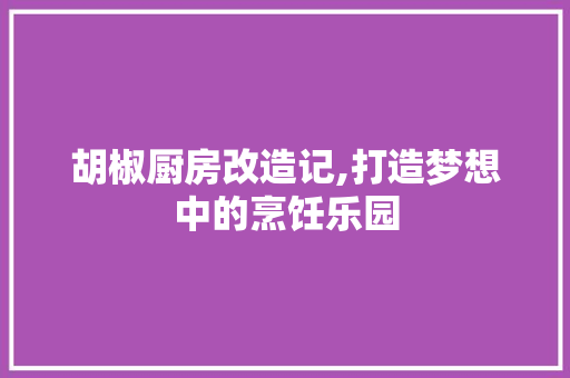 胡椒厨房改造记,打造梦想中的烹饪乐园