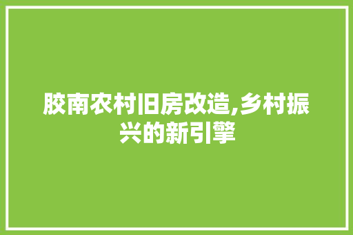 胶南农村旧房改造,乡村振兴的新引擎