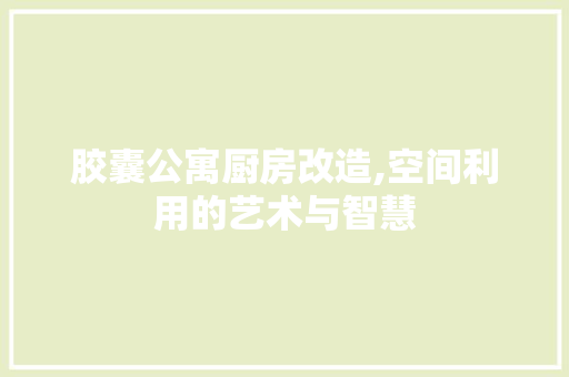 胶囊公寓厨房改造,空间利用的艺术与智慧