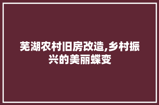 芜湖农村旧房改造,乡村振兴的美丽蝶变