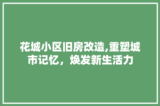 花城小区旧房改造,重塑城市记忆，焕发新生活力
