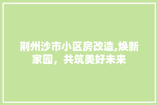 荆州沙市小区房改造,焕新家园，共筑美好未来