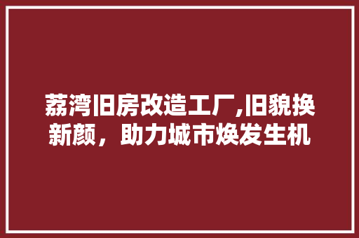 荔湾旧房改造工厂,旧貌换新颜，助力城市焕发生机