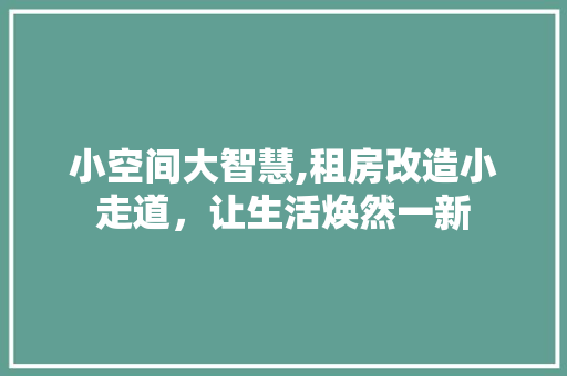 小空间大智慧,租房改造小走道，让生活焕然一新