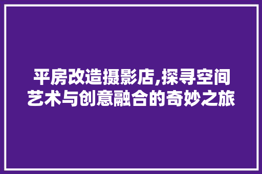 平房改造摄影店,探寻空间艺术与创意融合的奇妙之旅