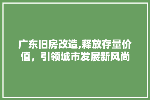 广东旧房改造,释放存量价值，引领城市发展新风尚