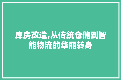 库房改造,从传统仓储到智能物流的华丽转身