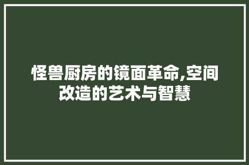 怪兽厨房的镜面革命,空间改造的艺术与智慧