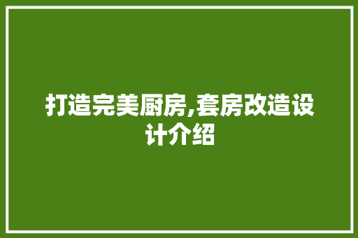 打造完美厨房,套房改造设计介绍