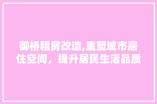 御桥租房改造,重塑城市居住空间，提升居民生活品质