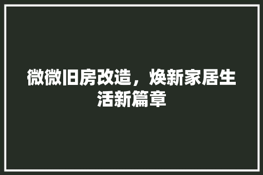 微微旧房改造，焕新家居生活新篇章