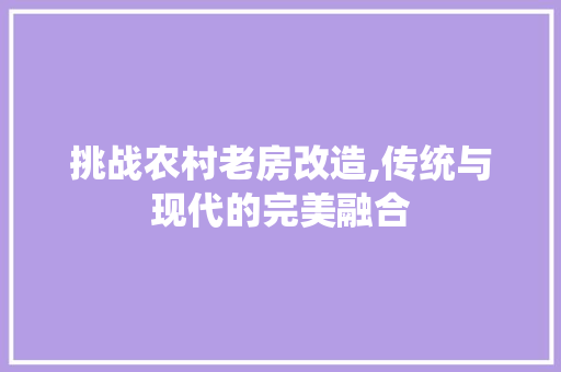 挑战农村老房改造,传统与现代的完美融合