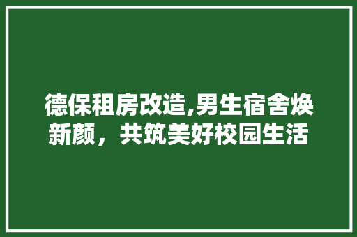 德保租房改造,男生宿舍焕新颜，共筑美好校园生活