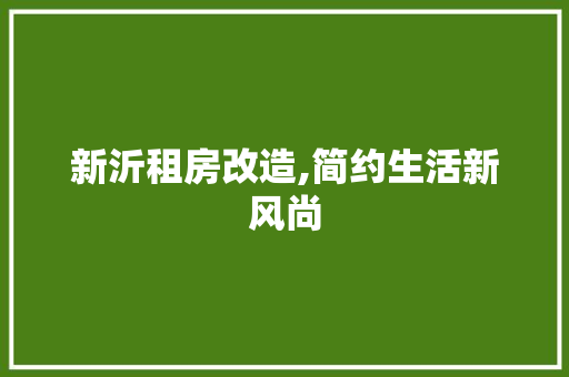 新沂租房改造,简约生活新风尚