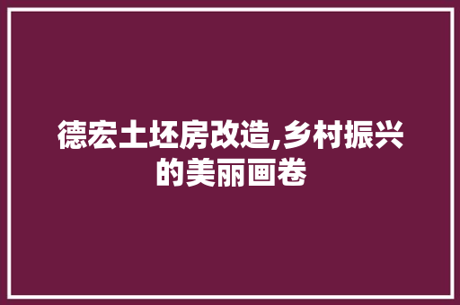 德宏土坯房改造,乡村振兴的美丽画卷