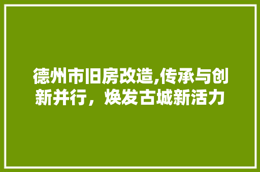 德州市旧房改造,传承与创新并行，焕发古城新活力